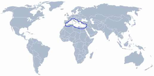 wereldkaart